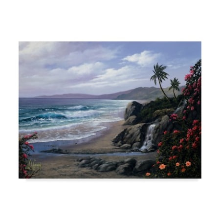 Anthony Casay 'Tropical Coast 1' Canvas Art,24x32